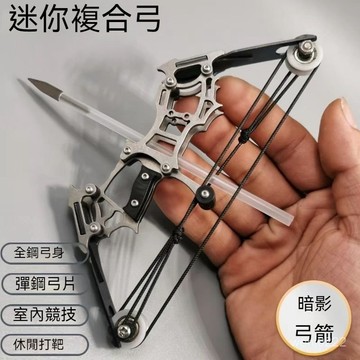 迷你弓箭 閤金迷你小弓 微型弓箭 複閤弓 滑輪弓 反曲弓 不銹鋼 小型弓射箭 弓箭套裝 射箭 小型弓箭 滑輪