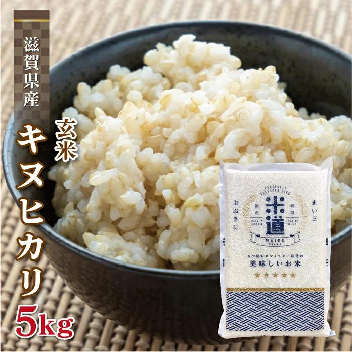 玄米 5kg 送料無料 白米 無洗米 キヌヒカリ  令和三年産 無洗米 滋賀県産 5キロ お米 玄米 ごはん 無洗米 一等米 単一原料米 保存食 米 真空パック