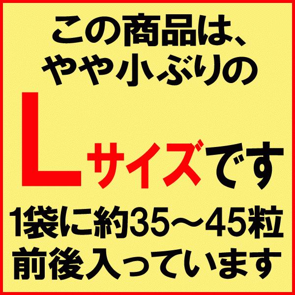 ギフト カキ 牡蠣 2kg かき 広島県産 (特産品 名物商品) 広島 L カキ1kg(正味850g)×2袋 送料無料 グルメ 鍋