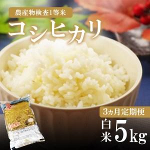 ふるさと納税 お米 コシヒカリ 白米 3回定期 5kg×3回 栃木県真岡市