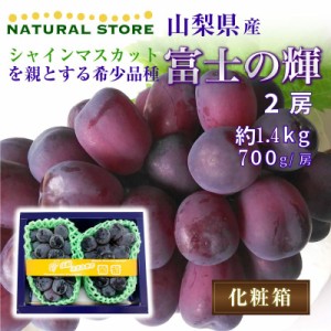 [最短順次発送]  富士の輝 2房 1.4kg 700g 房 ブラックシャインマスカット 山梨県 ぶどう 夏ギフト お中元 御中元