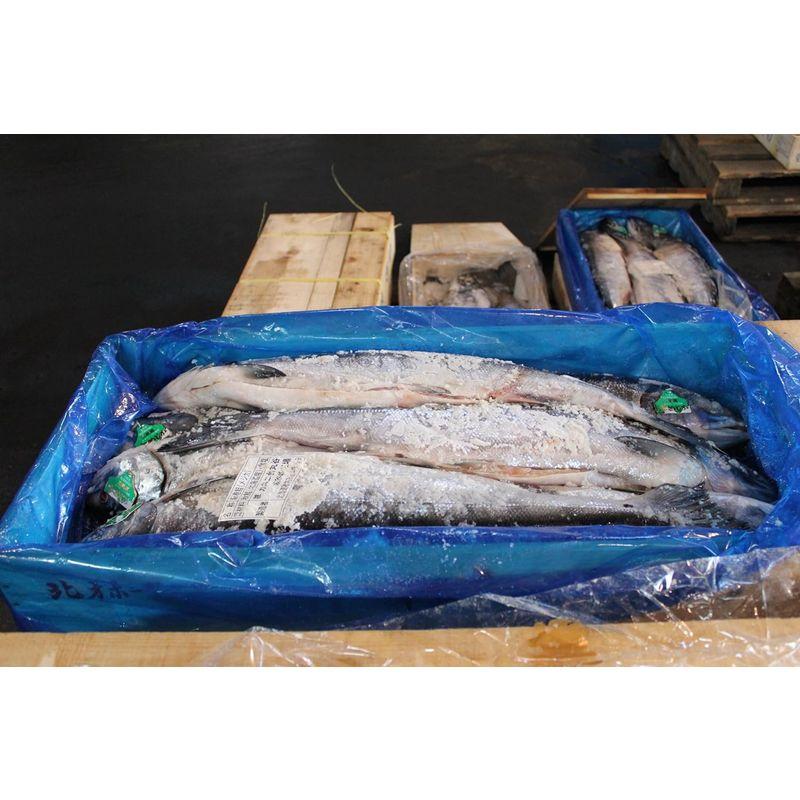 北海道産 秋さけ 新巻鮭 約１．６ｋｇ