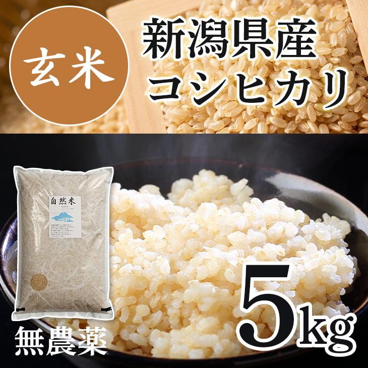 新米 令和5年産 無農薬玄米 玄米 5kg コシヒカリ 新潟 送料無料 無農薬栽培 化学肥料不使用米 美味しい玄米 健康 おいしい ミネラル ビタミン あす楽