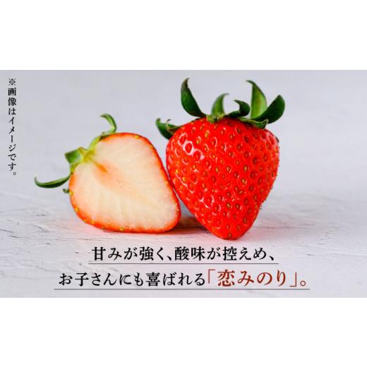 ふるさと納税 熊本県 山鹿市 高級 いちご 恋みのり 約2000g（250g×8pc） イチゴ いちご 苺 熊本県  [ZBB007]