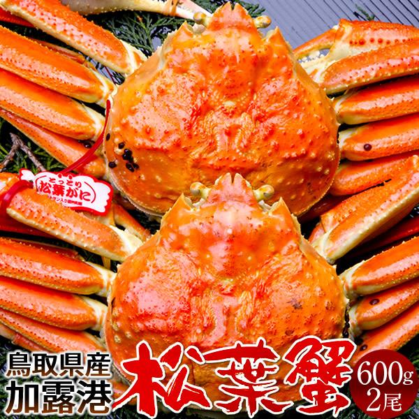 松葉ガニ タグ付き 松葉蟹［大］600g×2尾 ゆで蟹 ボイルまつばがに 新物 鳥取県産 浜茹で マツバガニ 日本海ズワイガニ［お歳暮 2023 ギフト 御歳暮］