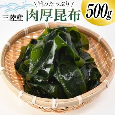 ふるさと納税 気仙沼市 三陸産 肉厚 昆布 500g   川村海産   宮城県 気仙沼市 [20561965]