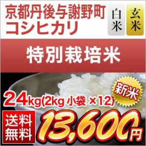 お米 24kg (2kg×12袋)  新米 令和5年(2023年)産 京都丹後与謝野町産 コシヒカリ 【即