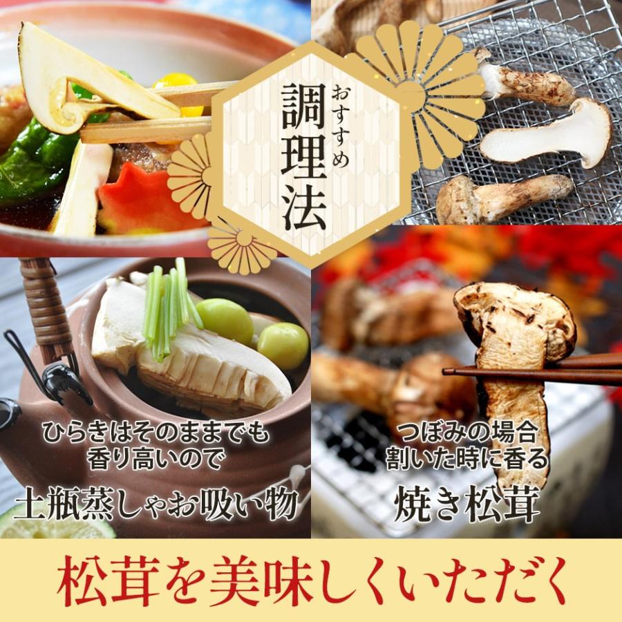 2024年分予約 国産 松茸 約500g 詰め合わせ  まつたけ マツタケ つぼみ 大 中 小 開き 岩手 SSS