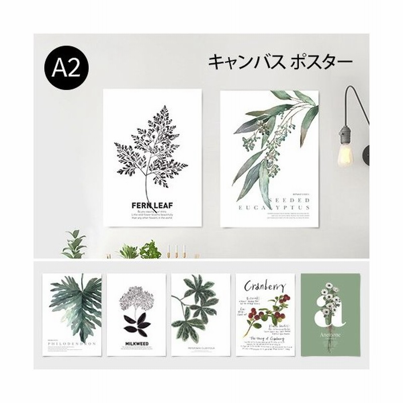 ポスター キャンバス素材 ボタニカルコレクションvo 1 花 植物 シンプル おしゃれ アートポスター アートプリント フォトポスター サンサンフー 通販 Lineポイント最大get Lineショッピング