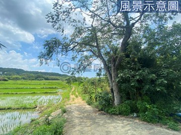 【園區三期】大坪數徵收地｜新竹縣竹東鎮二重埔