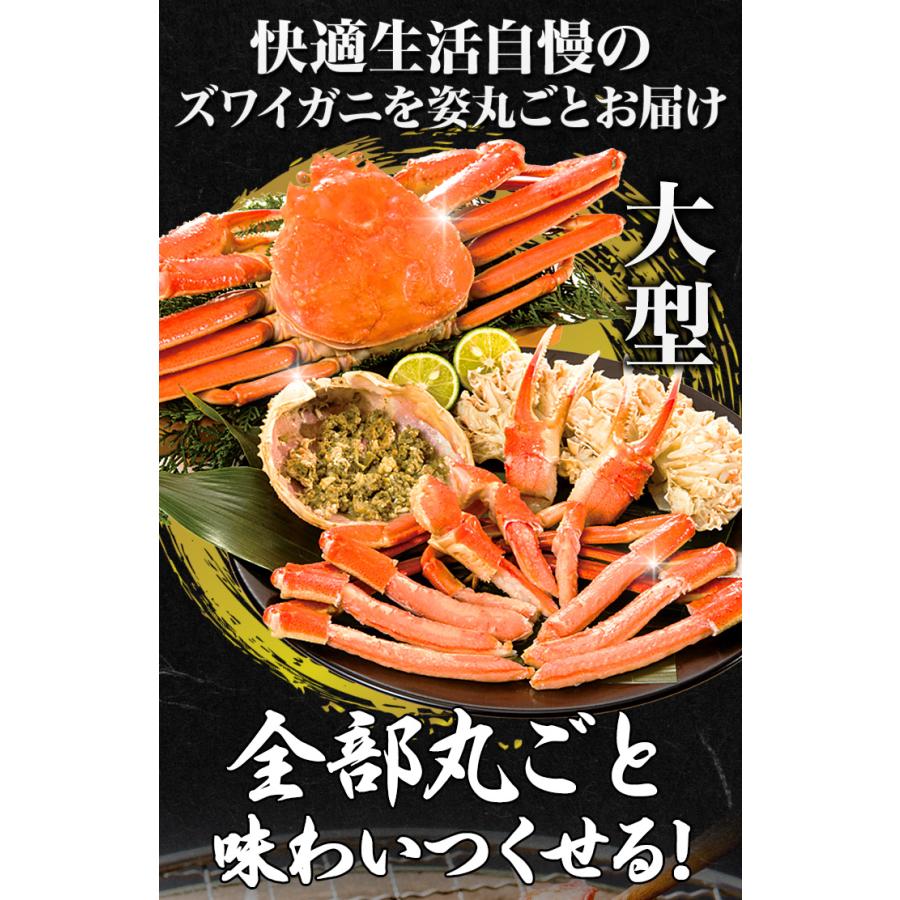 かに カニ 蟹 ズワイガニ 快適生活 大型ボイルズワイガニ姿まるごと 総重量:約2.4kg(4尾 正味2kg)