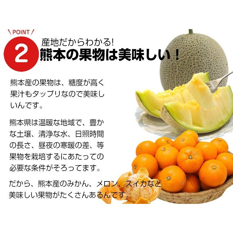 熊本特産詰め合せ果物3点セット1 アールスメロン・晩白柚・デコポン 送料無料 果物ギフト ギフト・ご贈答用