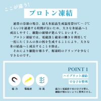 若狭とらふぐ テッサ ふぐ刺し 2～3人前 ふぐアラつき 冷凍