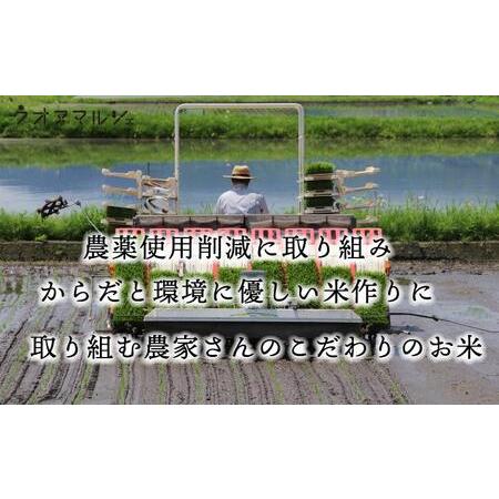 ふるさと納税 新米 令和５年産 おかずのいらない 魚沼産コシヒカリ　無洗米１０ｋｇ 新潟県南魚沼市