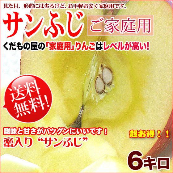 サンふじ 長野 リンゴ 訳あり 送料無料  6キロ 家庭用 新規格のちょうどいいサイズ！