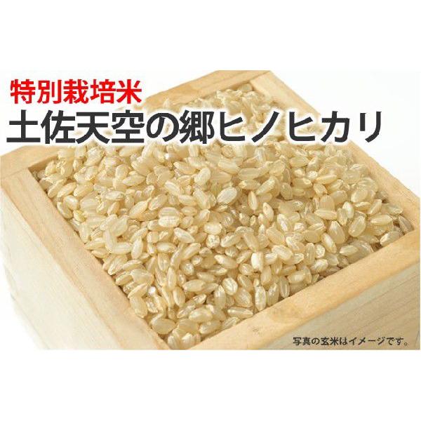 令和５年産新米・特別栽培米・土佐天空の郷ヒノヒカリ１ｋｇ