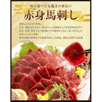 国産赤身馬刺し 約560g 馬刺しのたれ付き 千興ファーム 馬肉 冷凍 《60日以内に順次出荷(土日祝除く)》 新鮮 さばきたて 真空パック SQF ミシュラン 生食用 肉 菅乃屋 熊本県御船町 特産品 数量限定