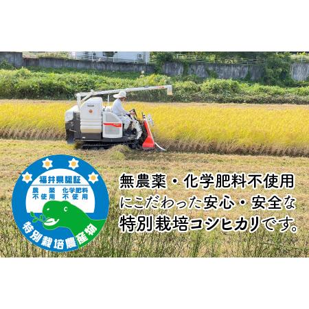 ふるさと納税 令和5年産 新米 無農薬・化学肥料不使用 永平寺町寺本の米 特別栽培コシヒカリ 玄米 5kg [B-027009] 福井県永平寺町