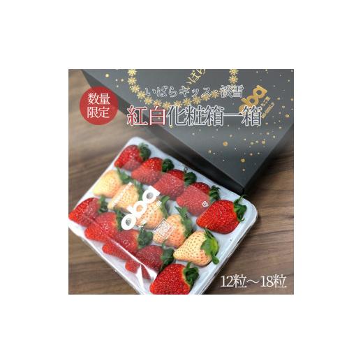 ふるさと納税 茨城県 水戸市 DO-2　茨城県オリジナル品種『いばらキッス』と希少なプレミアム白イチゴ『淡雪』紅白化粧箱一…
