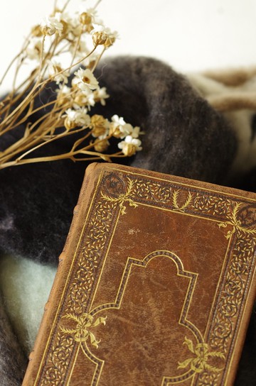 -金銀寶貝 少見法國真皮蝴蝶結十字架聖經信仰書籍 W768