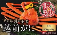 越前がに（オス）「ずわいがに」大サイズ（800g-1kg） 訳あり 2杯