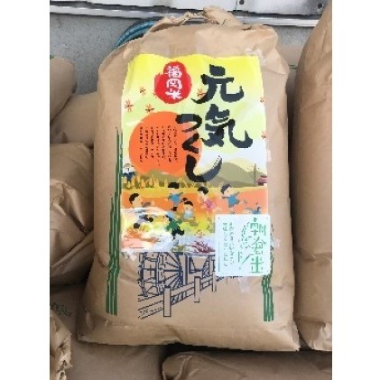 「元気つくし」玄米30kg