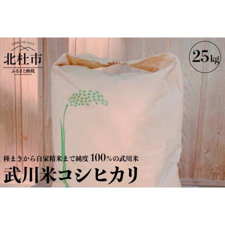ふるさと納税 R5年度米 武川米コシヒカリ 25kg 山梨県北杜市