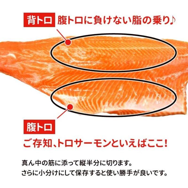 サーモン専門店岩松 刺身用トロサーモン 半身約800g