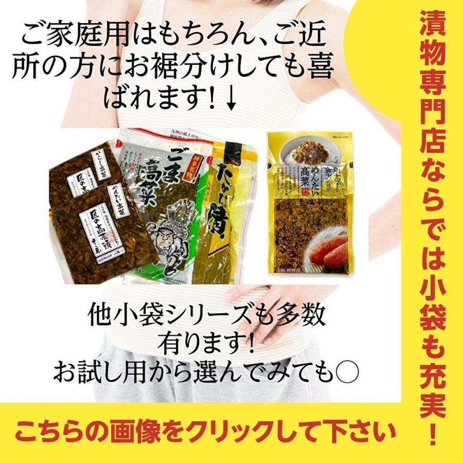 漬物専門店の高菜シリーズ (辛子高菜 辛子明太高菜 高菜漬) 九州産高菜使用 選べる1点 お試し価格 からし高菜 送料無料 ポイント消化