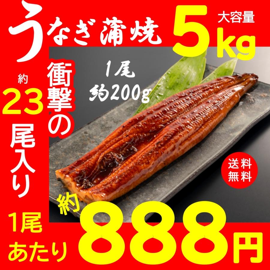 うなぎ 蒲焼 まとめ買い 土用の丑の日 鰻 ウナギ 大容量 5kg 送料無料