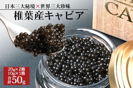 HEIKE CAVIAR 50ｇ  チョウザメ キャビア