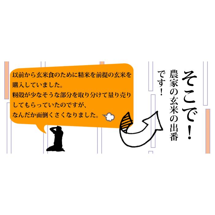 新米 米 20kg 玄米食 調整済 5年産 農家の食べているおいしい玄米20kg（5kg×4）