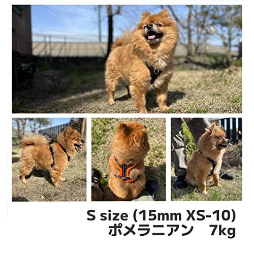 Perfect Fit Harness パーフェクトフィットハーネス Sサイズ （小型犬