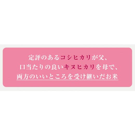 ふるさと納税 福岡県 鞍手町 令和4年産 福岡県産 夢つくし 無洗米 15kg 5kg×3袋 株式会社オカベイ《30日以内に順次出荷(土日祝除く)》米 コメ ゆめつくし 無…