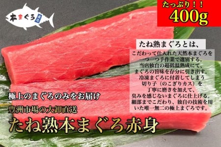 極上！たね熟天然本まぐろ赤身(400g)