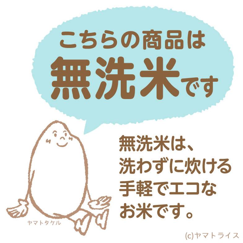 無洗米 米 お米 10kg まっしぐら 青森県産 5kg×2 令和5年産