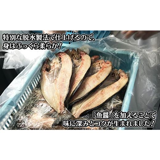 ふるさと納税 北海道 弟子屈町 343. ふっくらやわらか 干物 9点セット 真ホッケ サンマ カレイ イワシ 秋鮭 コマイ ニシン サバ 秋刀魚 宗八鰈 鰯 鮭 鰊 鯖 海…