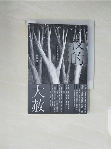【書寶二手書T8／文學_XR4】夜的大赦_曹玉波