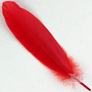 單隻羽毛-10入(紅)，婚禮佈置/會場佈置，X射線【Y280005】