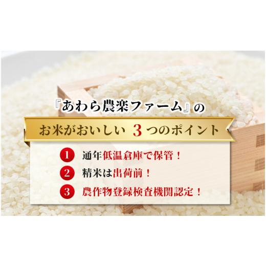 ふるさと納税 福井県 あわら市 《定期便6回》いっちょらい 精米 10kg（計60kg） ／ 福井県産 ブランド米 コシヒカリ ご飯 白米 新鮮 大賞 受賞 …