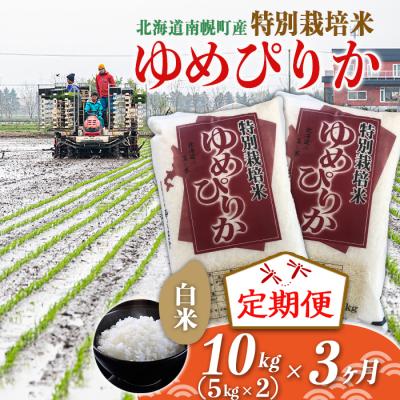 ふるさと納税 南幌町 北海道産 特別栽培米 ゆめぴりか 白米 5kg×2袋(10kg) 1月発送開始