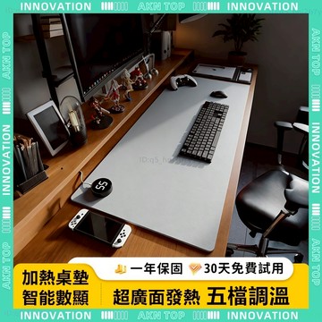✨最快當日到✨ 免運 分區加熱鼠標墊 防水耐刮 加熱滑鼠墊 110V 智能控溫 皮革滑鼠墊 暖桌墊 安全無異味 滑鼠桌墊