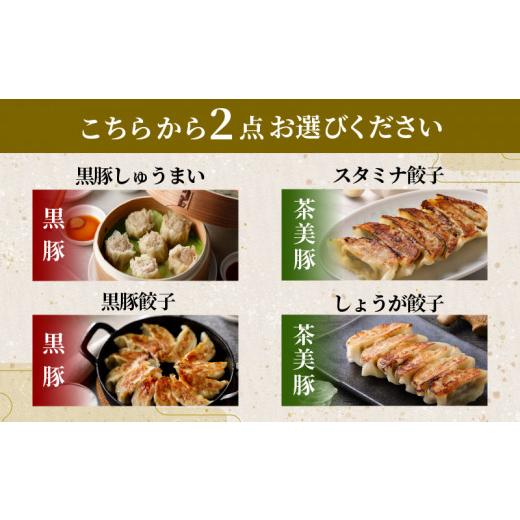 ふるさと納税 鹿児島県 鹿児島市 どれを選んでも大満足！餃子と焼売のよりどり2点セット　K033-005