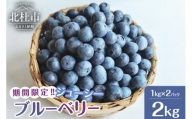 大人気！甘くジューシーな冷凍ブルーベリー2kg（1kg×2パック）