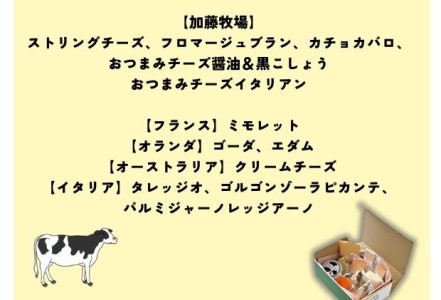 チーズ 加藤牧場 12種 ナチュラルチーズセット