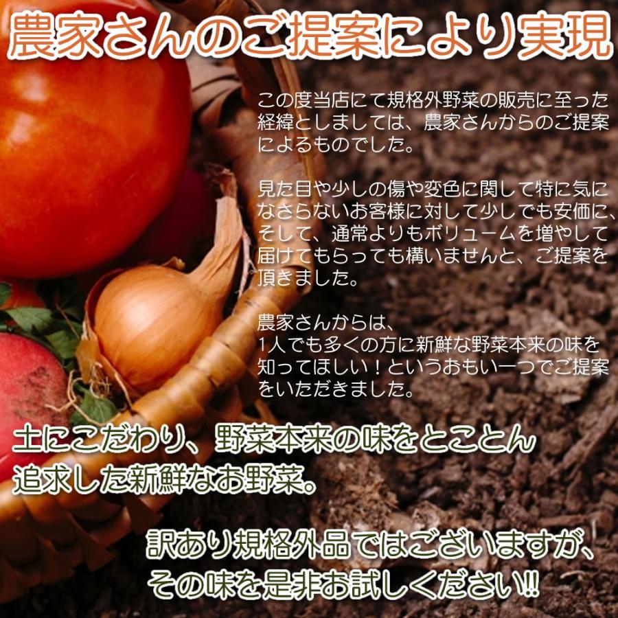 訳あり野菜 規格外野菜 とれたて新鮮 旬の 野菜セット 野菜詰め合わせ 4〜5種 ふぞろい 大きさお任せ 協生農法 有機野菜 入り 三重県 伊勢産 産地直送 送料無料