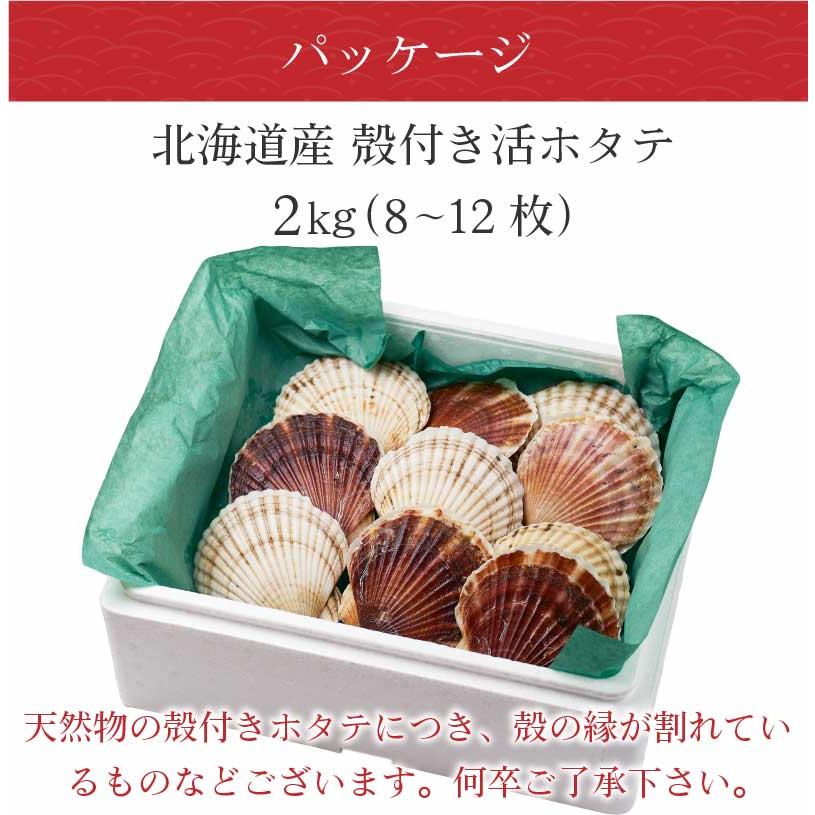 北海道産 活ホタテ 約2kg 北海道 支援 産地 直送 生 帆立 ほたて 天然 刺身 殻付き BBQ 生食OK ギフト プレゼント お歳暮 御歳暮 クリスマス