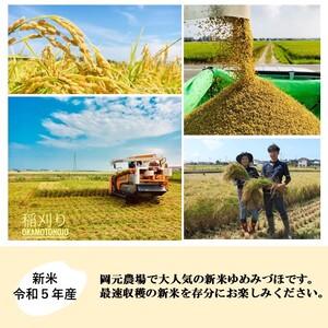 ふるさと納税 ゆめみづほ27kg精白米 石川県能美市