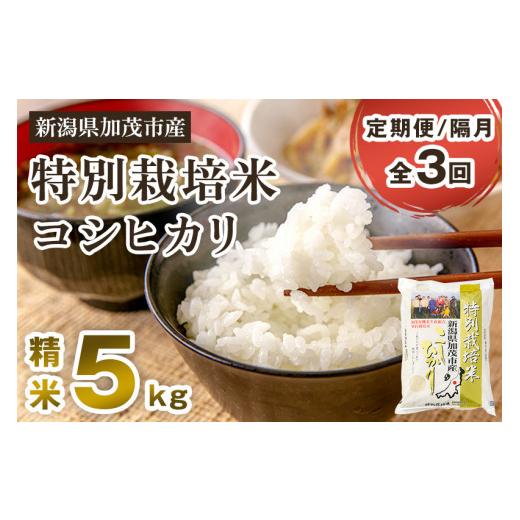 ふるさと納税 新潟県 加茂市 新潟県加茂市産 特別栽培米コシヒカリ 精米5kg 白米 従来品種コシヒカリ 加茂有機米生産組合