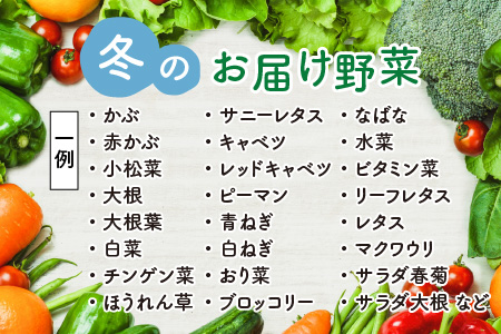 農家直送 冬野菜セット 1箱 7品目以上 《元気に育った新鮮野菜！》／ 季節 冬 野菜 ボックス BOX セット セレクト 農家 おまかせ 多品目 旬 詰め合わせ ※2023年12月上旬以降発送